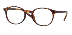 Plastraamidega lugemisprillid VISTO ROUND pruun