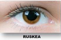 Novalens ArtVisio Multifocal 6 шт. цветные без зоны зрачка