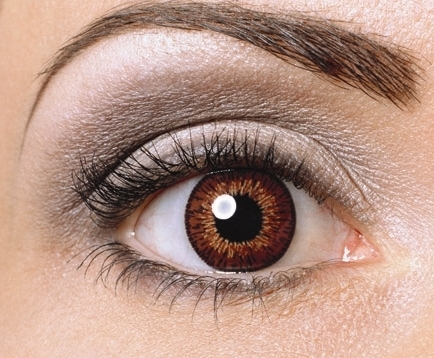 OnlyOne Color Spring Innovative BROWN 1 pc