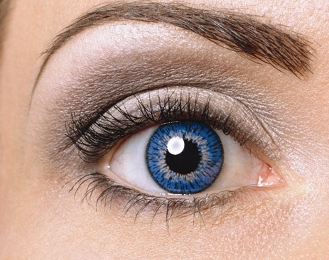 OnlyOne Color Spring Innovative DARK BLUE 1 pc