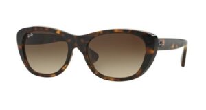 Ray-Ban 4227 710/13 (Size M)